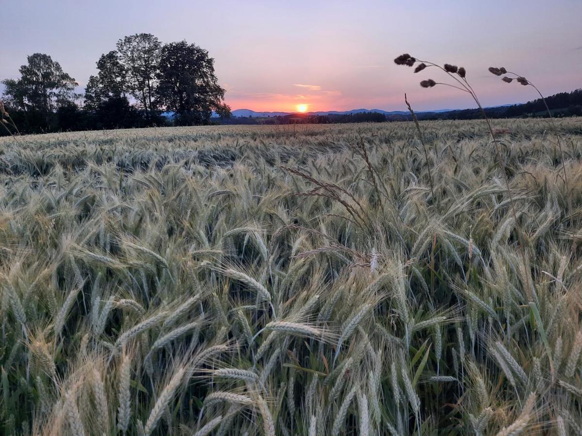 Grainmeisterhof Niederwaldkirchen 외부 사진