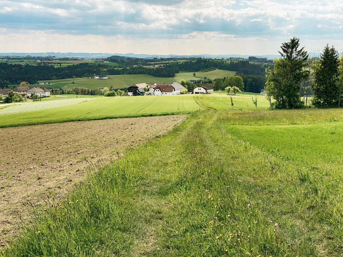 Grainmeisterhof Niederwaldkirchen 외부 사진