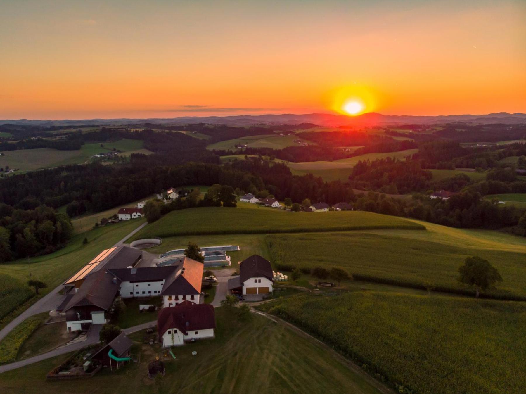 Grainmeisterhof Niederwaldkirchen 외부 사진